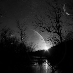 Meet your Posher, Tom